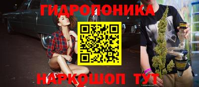 прущие грибы Гусев