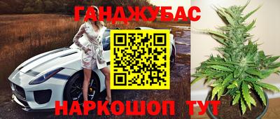 прущие грибы Гусев