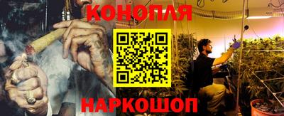 прущие грибы Гусев
