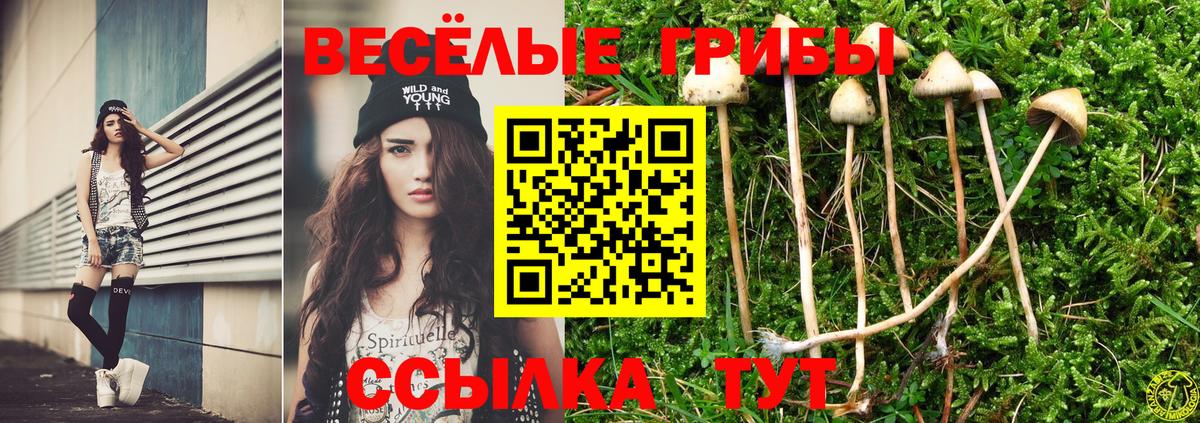 Галлюциногенные грибы Psilocybe  Вход с VPN  Мыски  Псилоцибиновые грибы Magic Shrooms 