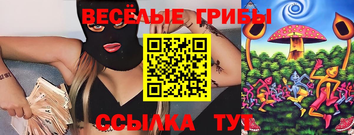 сколько стоит  Мыски  Галлюциногенные грибы прущие грибы  Галлюциногенные грибы MAGIC MUSHROOMS 