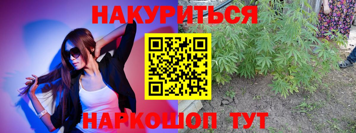 Канабис конопля  Каннабис OG Kush  Мыски 